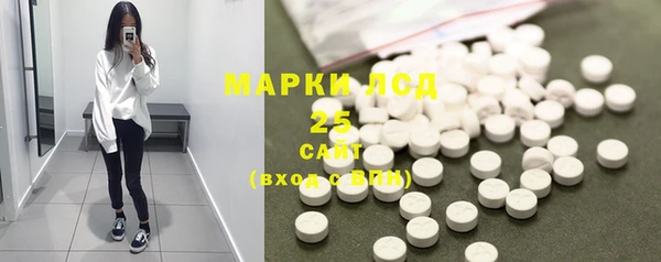мяу мяу мука Бородино