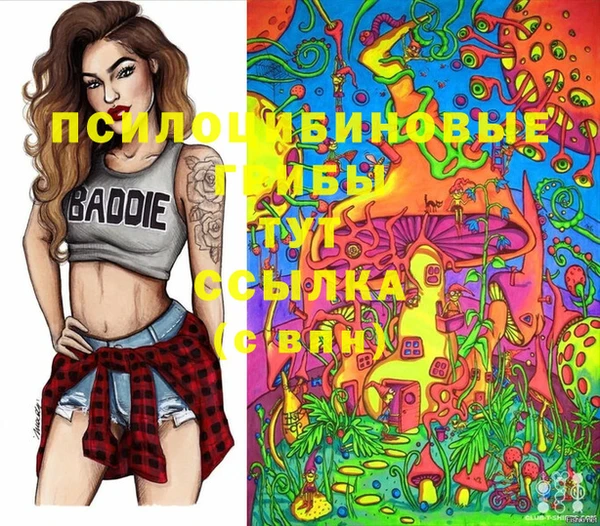 соль ск Бронницы