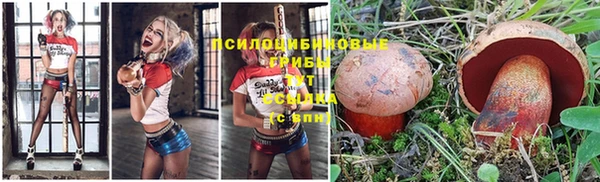 соль ск Бронницы