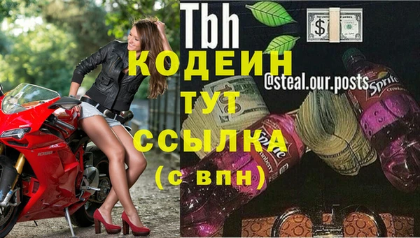 мяу мяу мука Бородино