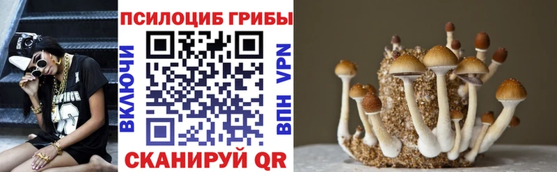 цена   Отрадное  Псилоцибиновые грибы Cubensis 